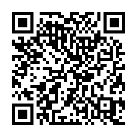 QR code for PL393C