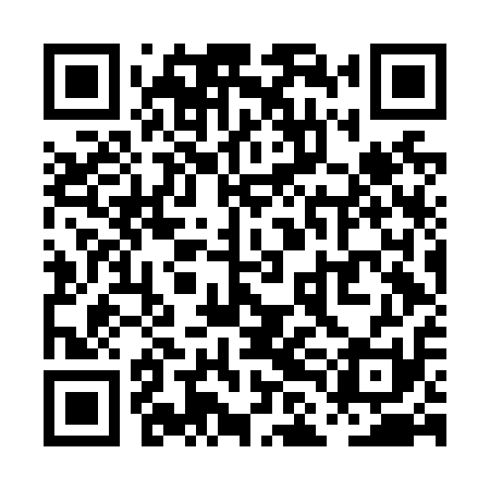 QR code for PLFN11