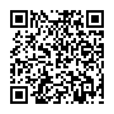 QR code for PNM86I