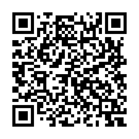 QR code for PO291Q