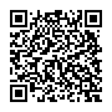 QR code for PO460N