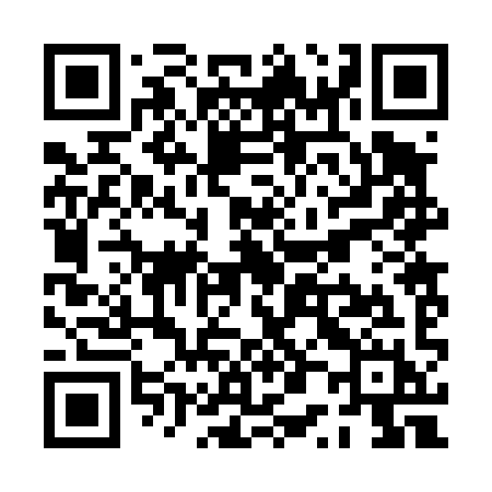 QR code for PP249H