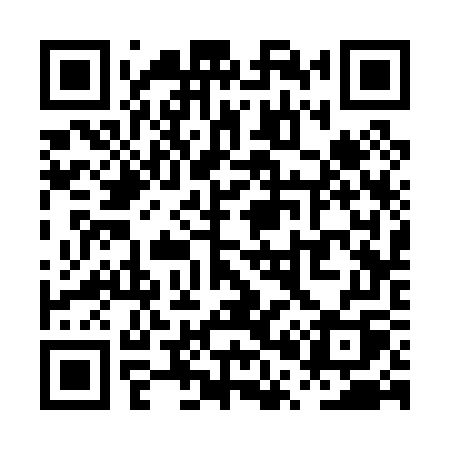 QR code for PP307Q