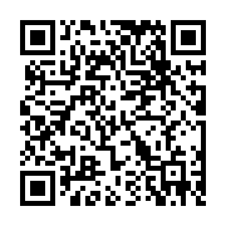 QR code for PP38NE