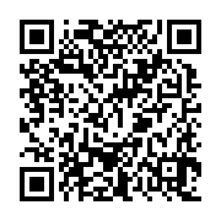 QR code for PPIJ87