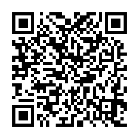 QR code for PPPI51