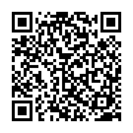 QR code for PPV06M