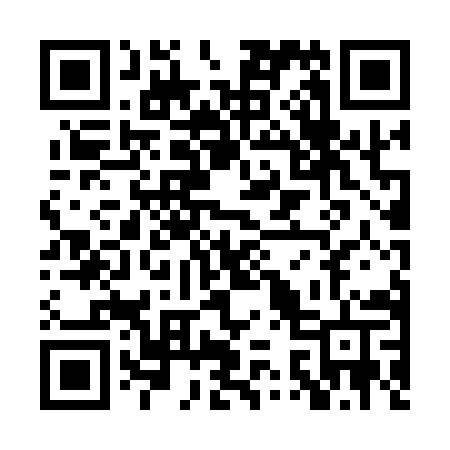 QR code for PS419T