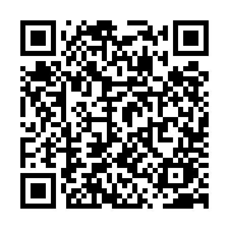 QR code for PT65OO