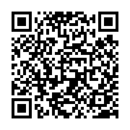 QR code for PV369P