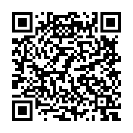 QR code for PV385S