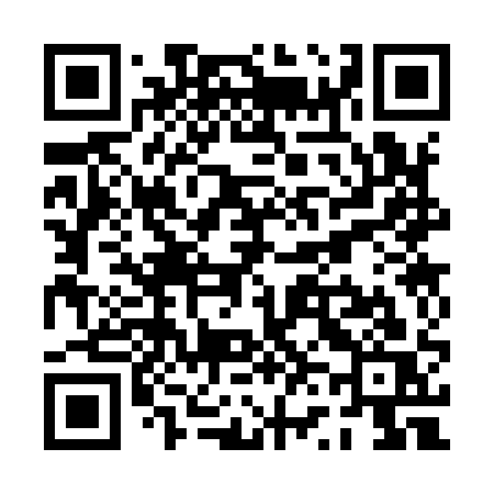 QR code for PV391S