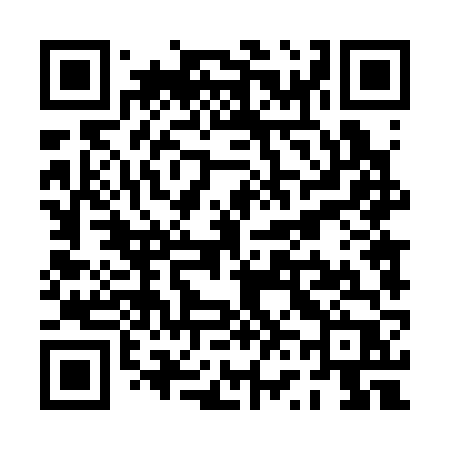 QR code for PV436P