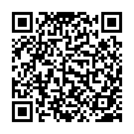 QR code for PV538H