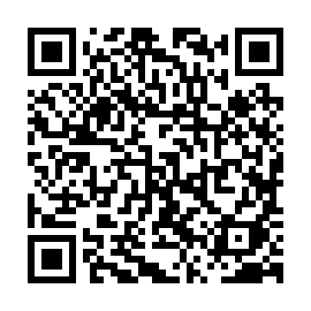 QR code for PVZ29I