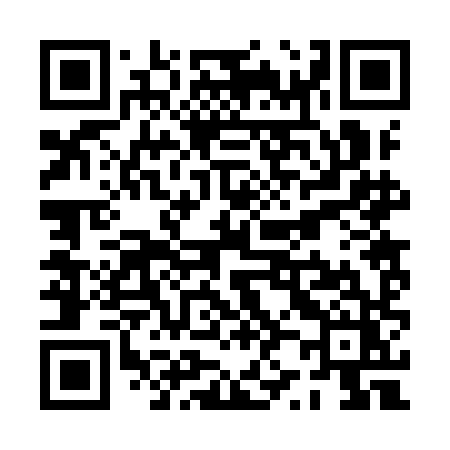 QR code for PZ29HZ