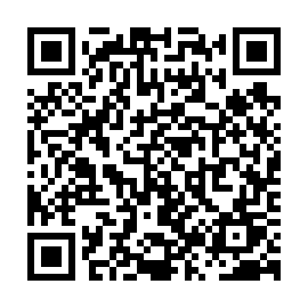 QR code for PZ367T