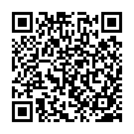 QR code for PZ379L
