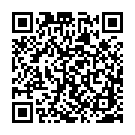 QR code for PZ496C