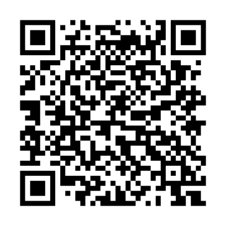QR code for PZ95DI
