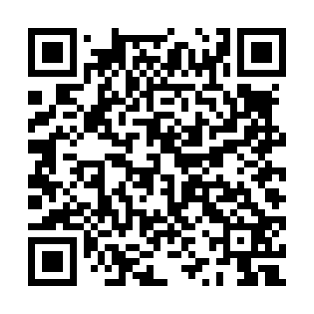 QR code for PZTL22