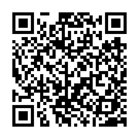 QR code for Q036ZH