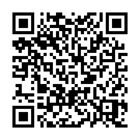 QR code for Q11ASR