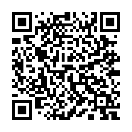 QR code for Q11PAT