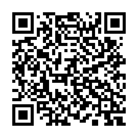QR code for Q13FPJ