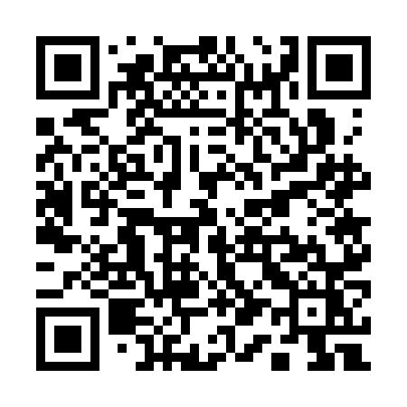 QR code for Q173NZ