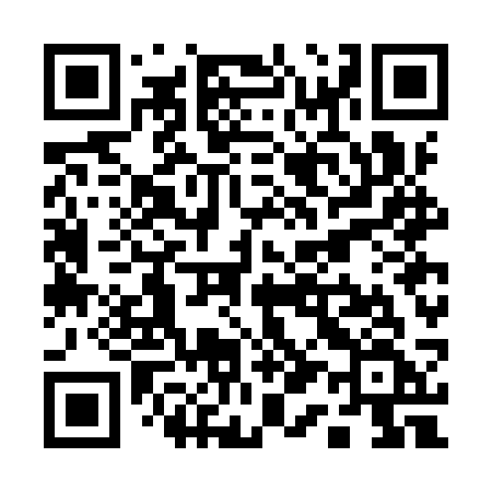 QR code for Q17ISF