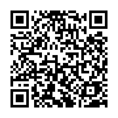 QR code for Q195CE