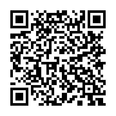 QR code for Q198PI