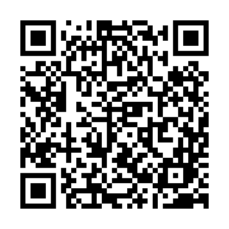 QR code for Q210TL