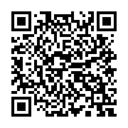 QR code for Q217WO