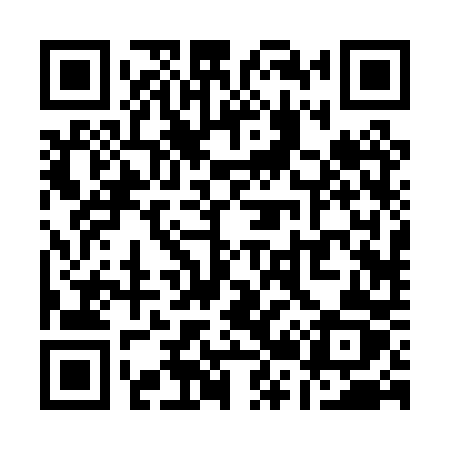 QR code for Q220PZ