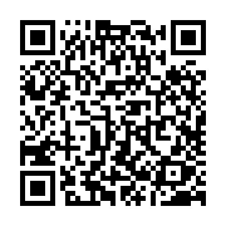 QR code for Q228ZX