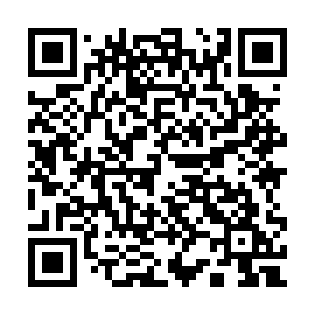 QR code for Q290QG
