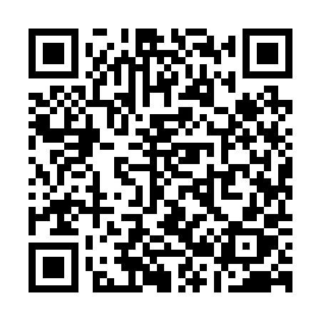 QR code for Q2920X