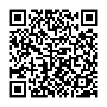 QR code for Q295UQ