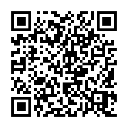 QR code for Q295YP