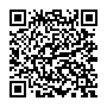 QR code for Q29PNM