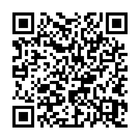 QR code for Q29QLU
