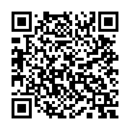 QR code for Q30DSS