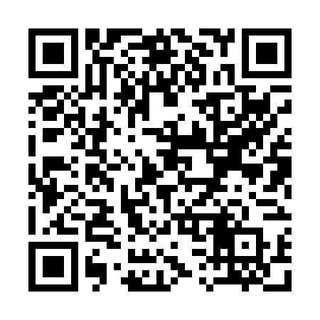 QR code for Q3806P