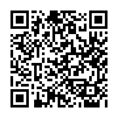 QR code for Q381FP