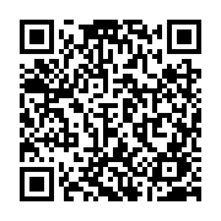 QR code for Q393WN
