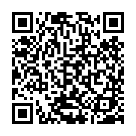 QR code for Q394NI