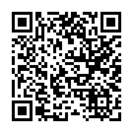 QR code for Q398KO