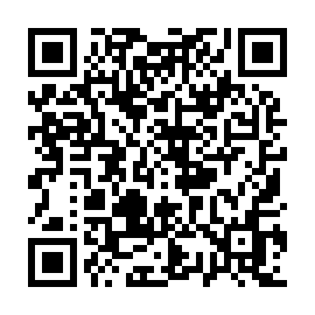 QR code for Q3991N